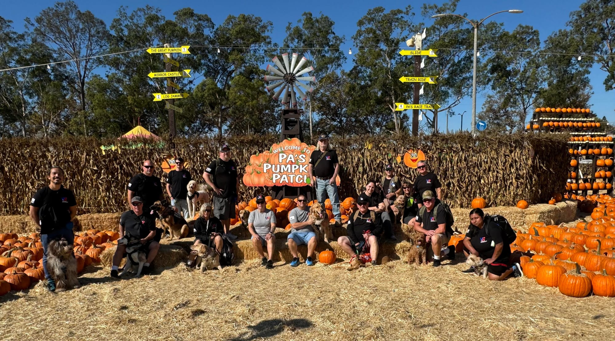 People and their dogs sit next to rows and rows of pumpkins.