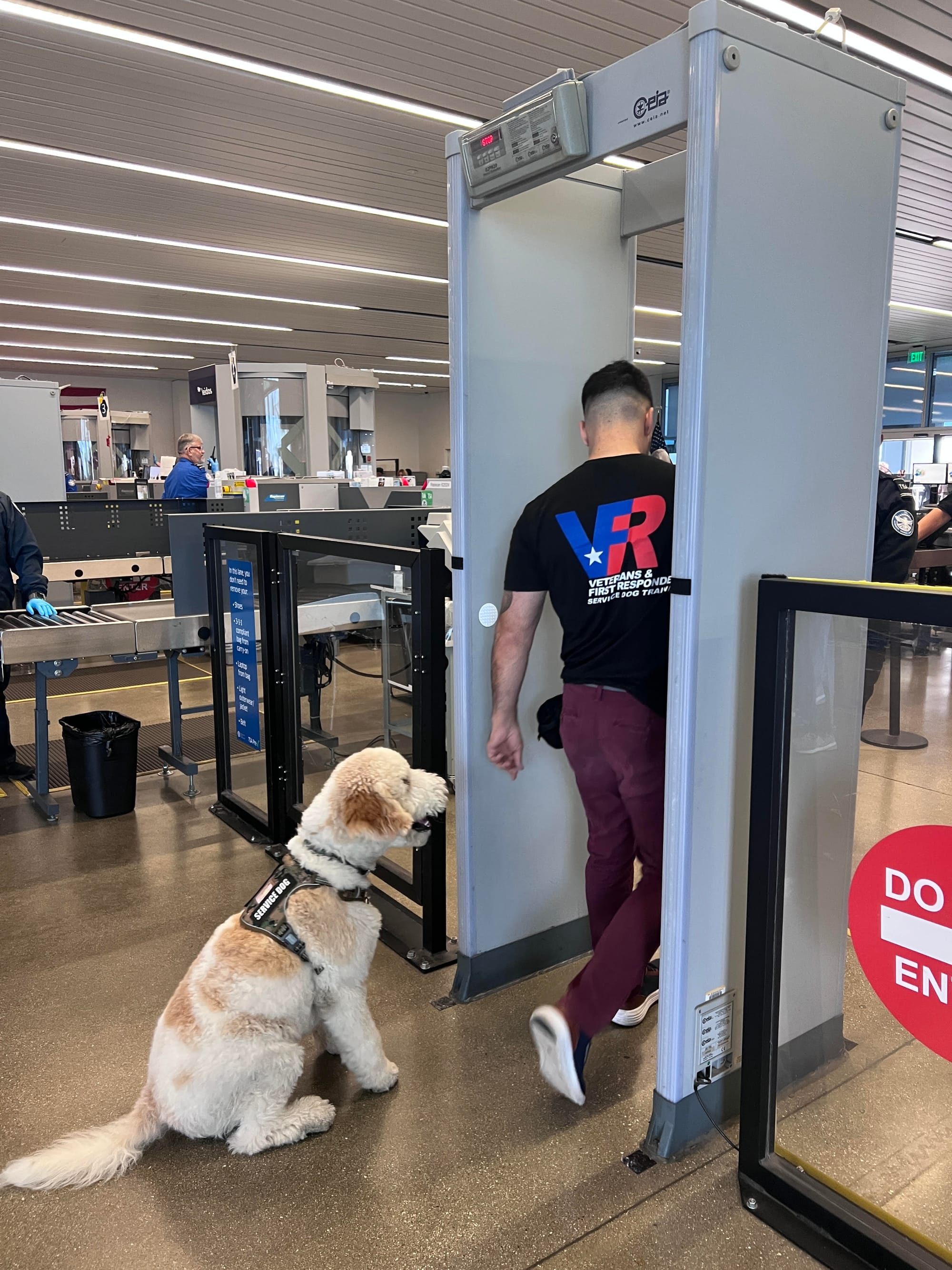 A white and beige dog sits while a person goes through a metal detector at the airport.