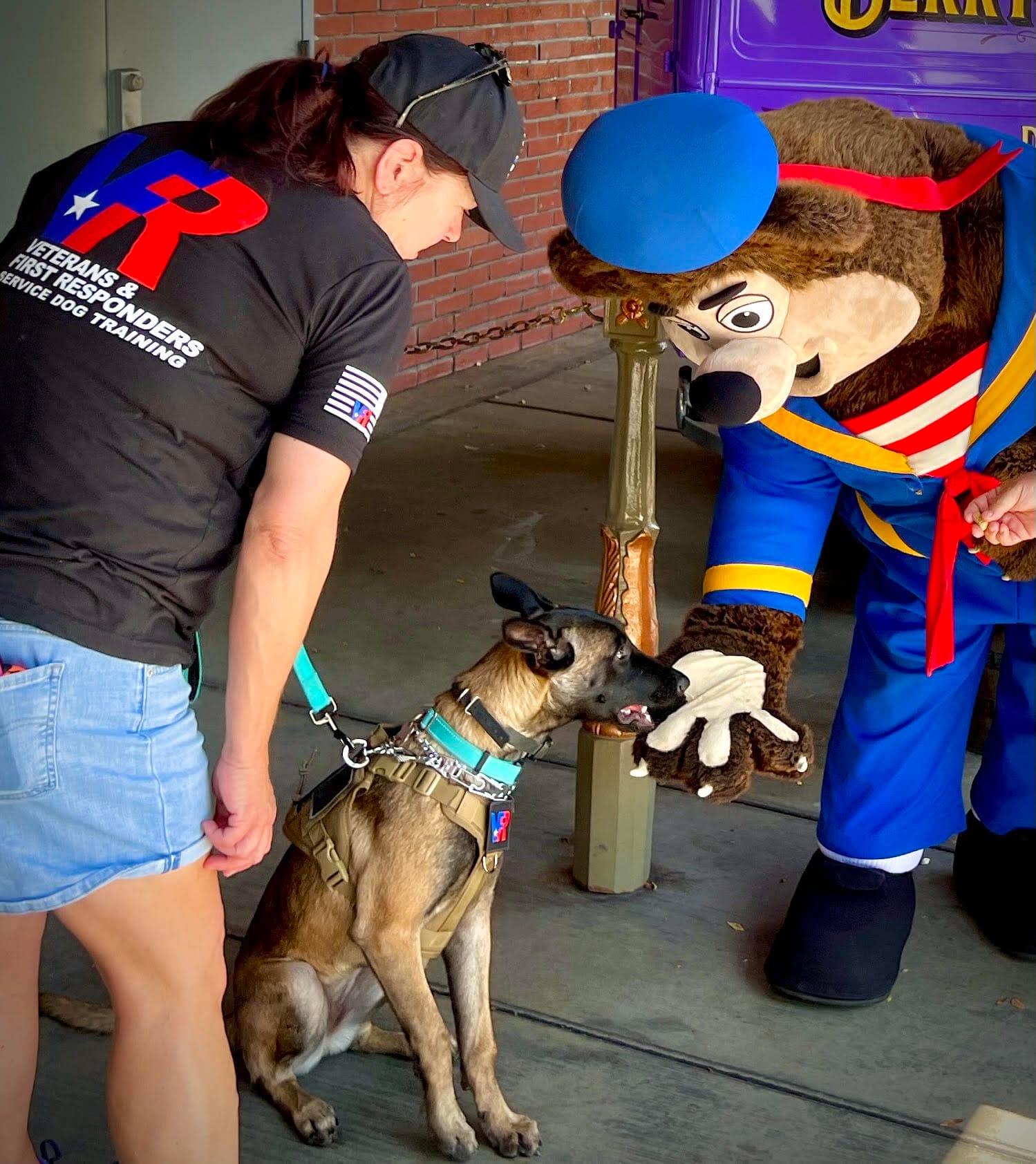 A brown dog sits patiently while a person in a giant bear costume holds out their hand to it.