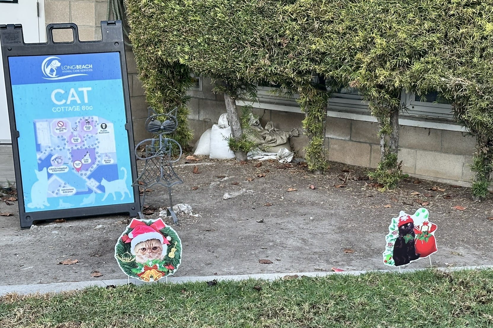 Christmas decorations outside showing cats next to a wreath and bag of gifts.