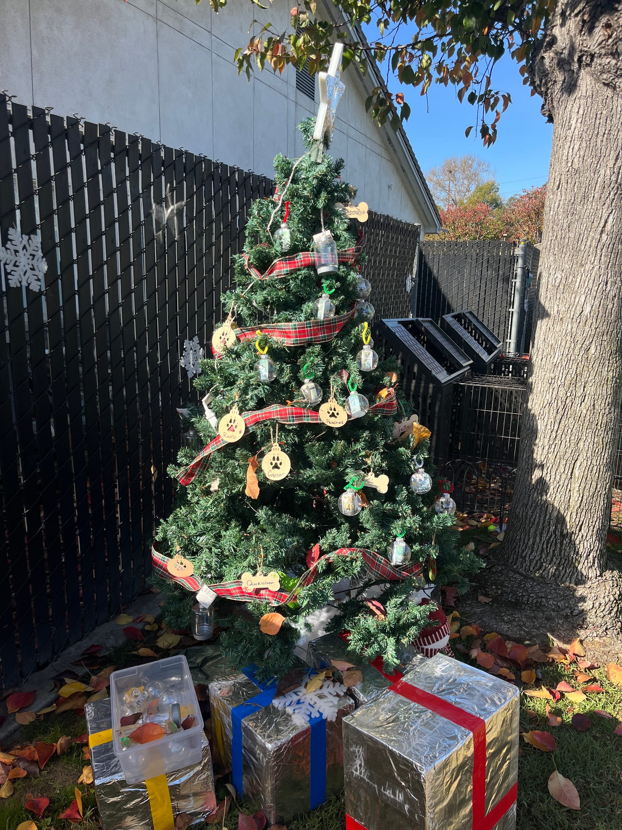 A Christmas tree set up in a backyard next to a wooden fence.