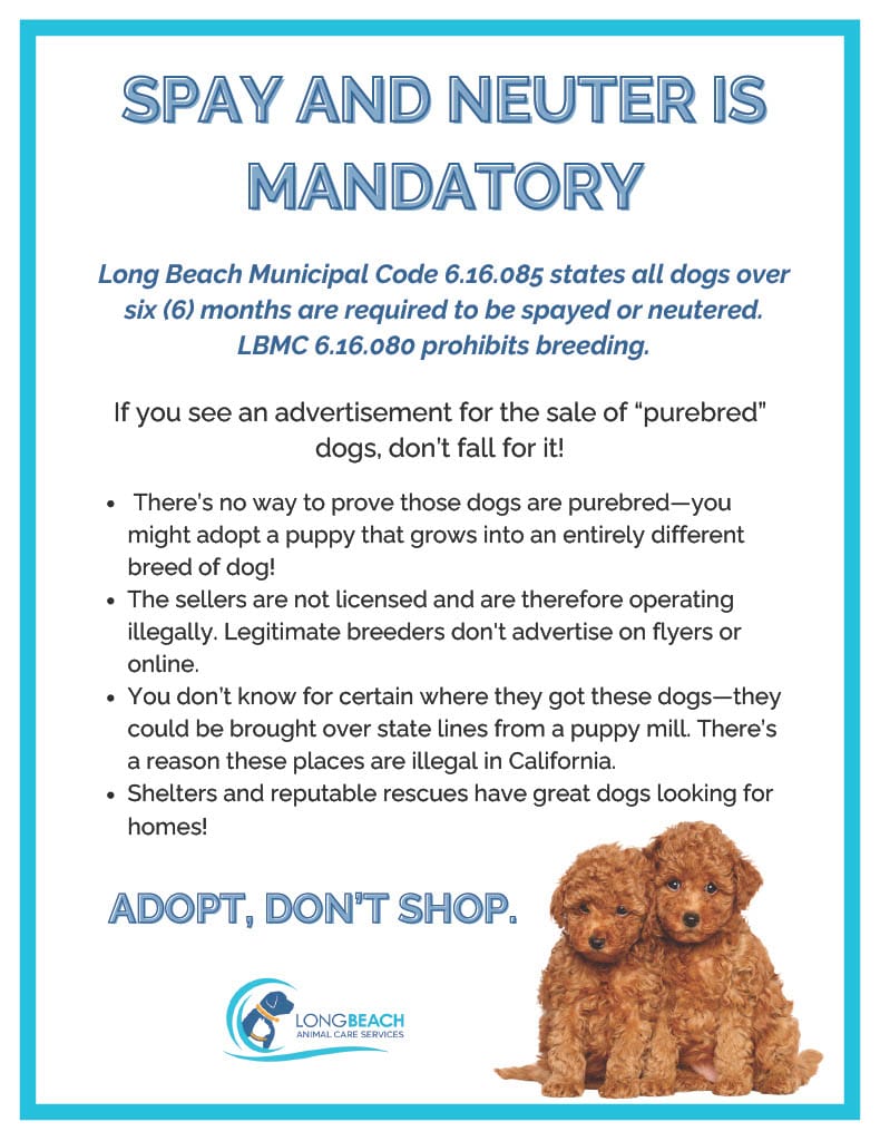 A graphic that says "Spay and Neuter is mandatory" and "adopt, don't shop" and shows two really cute brown puppies in the lower right hand corner.