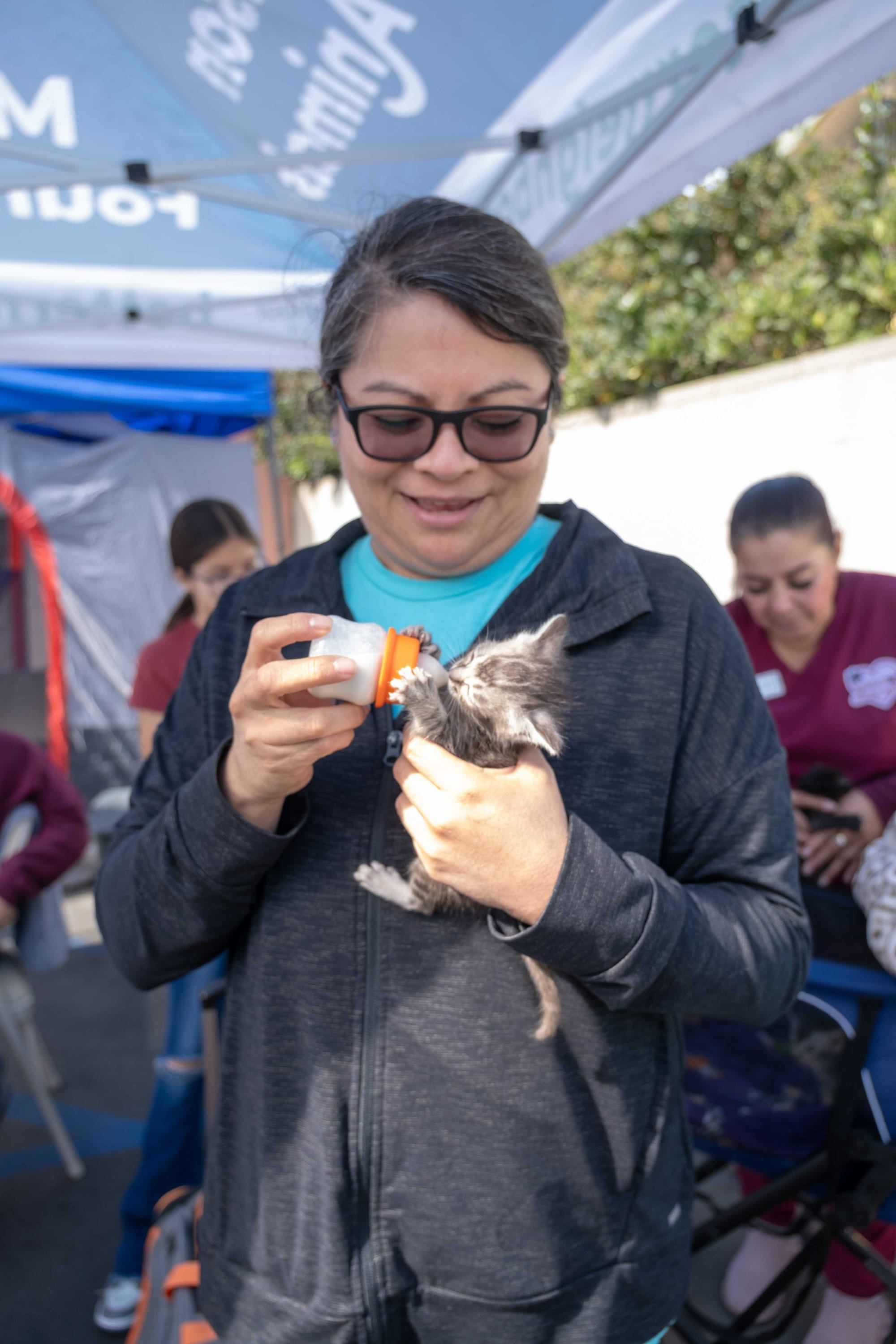 A woman bottle-feeds a tiny gray kitten.