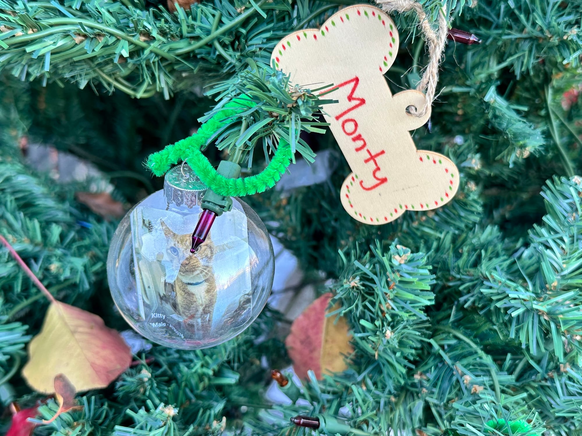 Close-up of a Christmas tree ornament that features a really pretty orange cat.