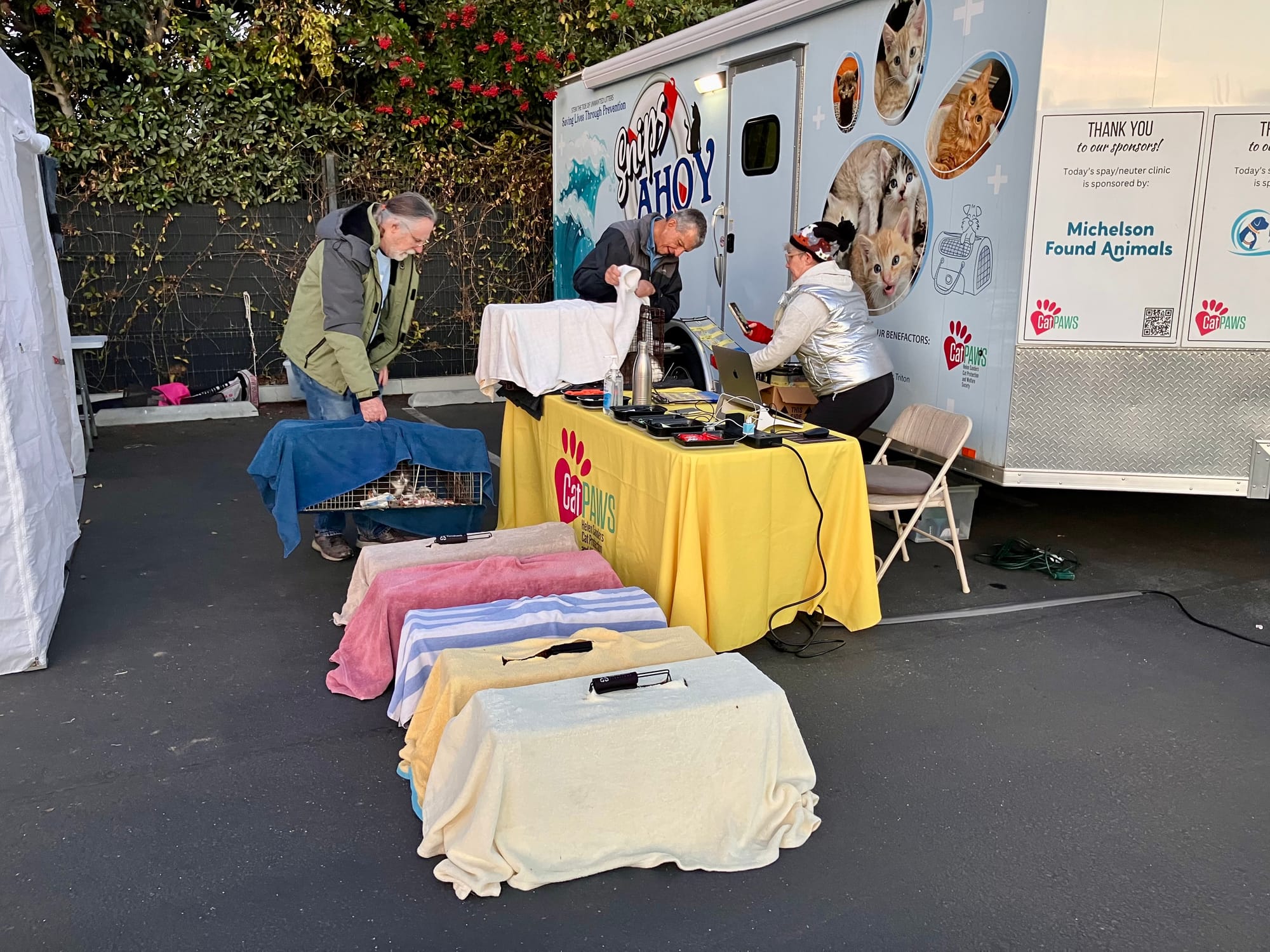 Three people stand near a yellow table and a half dozen cat cages draped in towels.