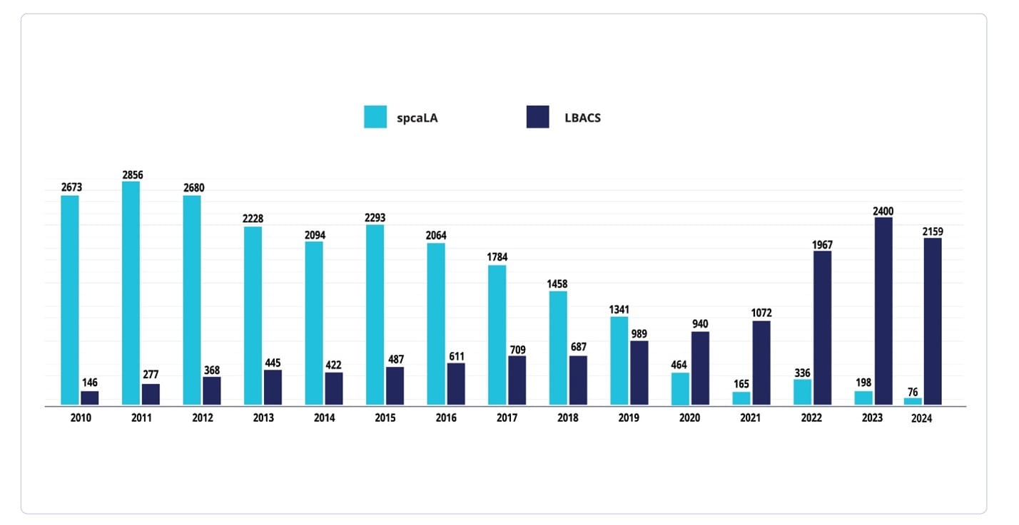 A bar graph showing adopted animals through the years for both spcaLA and LBACS.