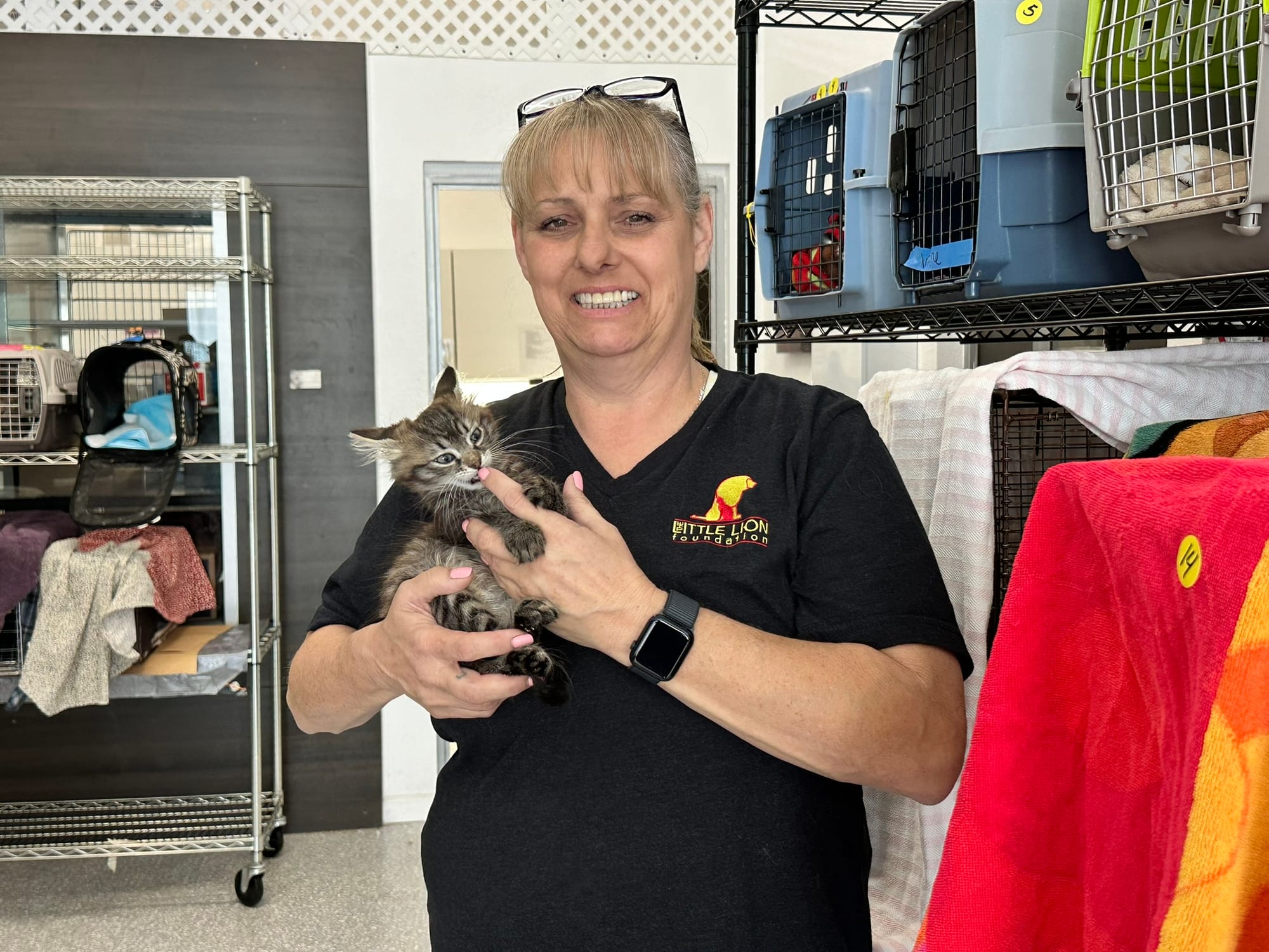 A woman holds a kitten as it bites her finger.