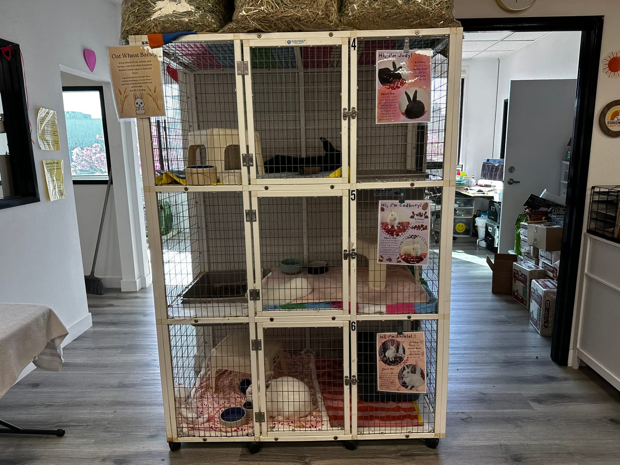 A stack of three kennels hold three bunny rabbits.