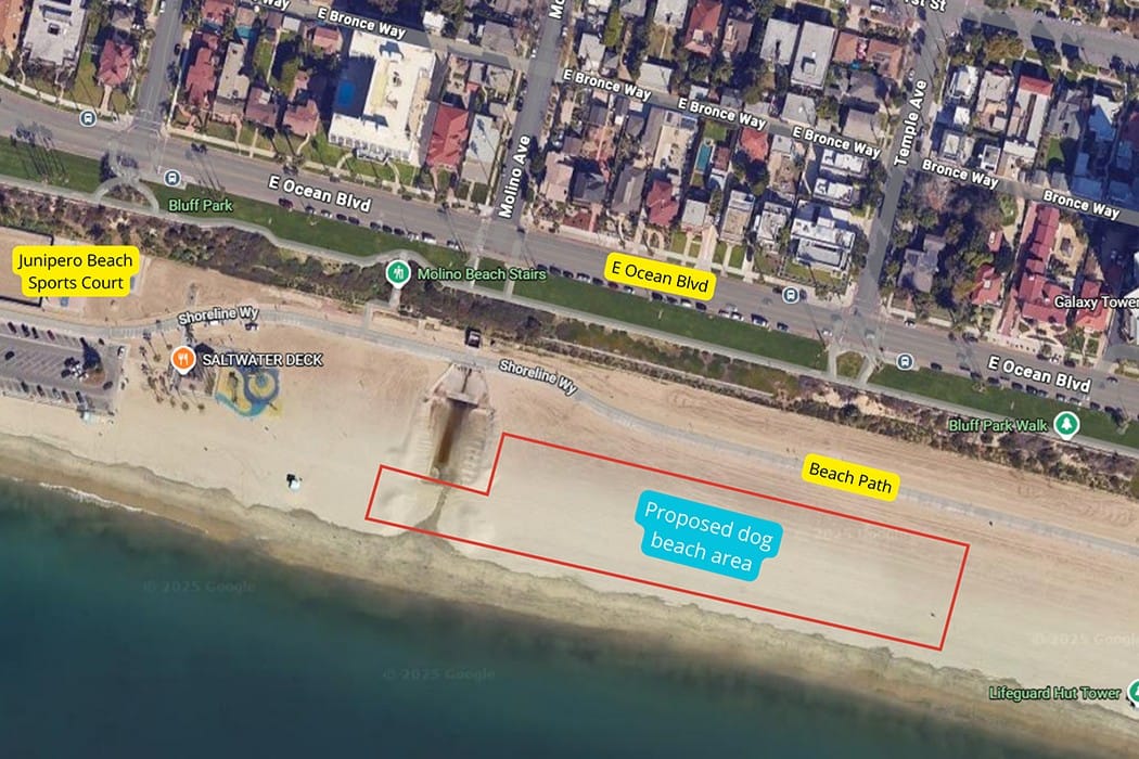 Overhead view of a beach near a lot of homes.