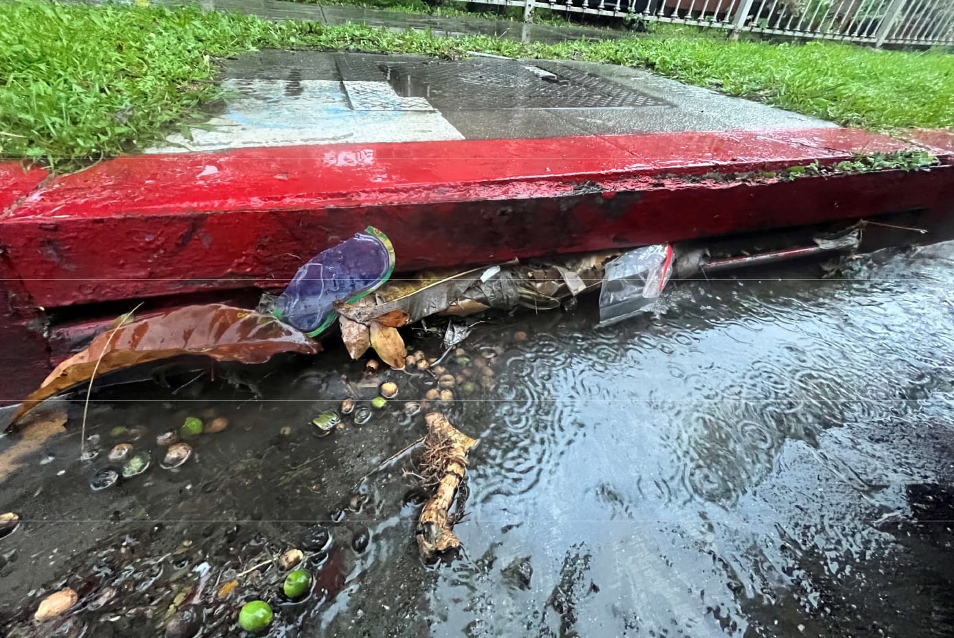 Leaves and other trash clog up a storm drain on a bright red curb.