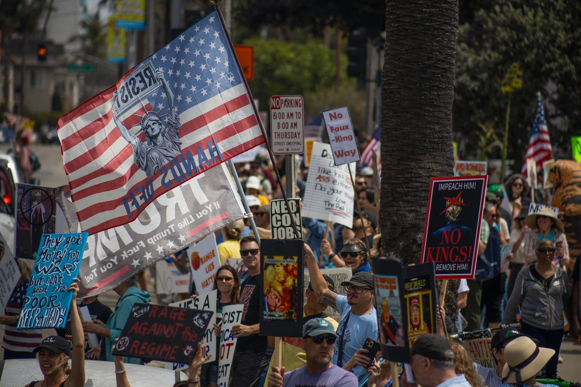 Hundreds of people stand outside waving flags and signs.