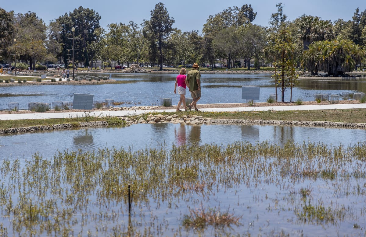 ‘Don’t feed the birds’: El Dorado Park duck pond reopens after multi-million dollar facelift