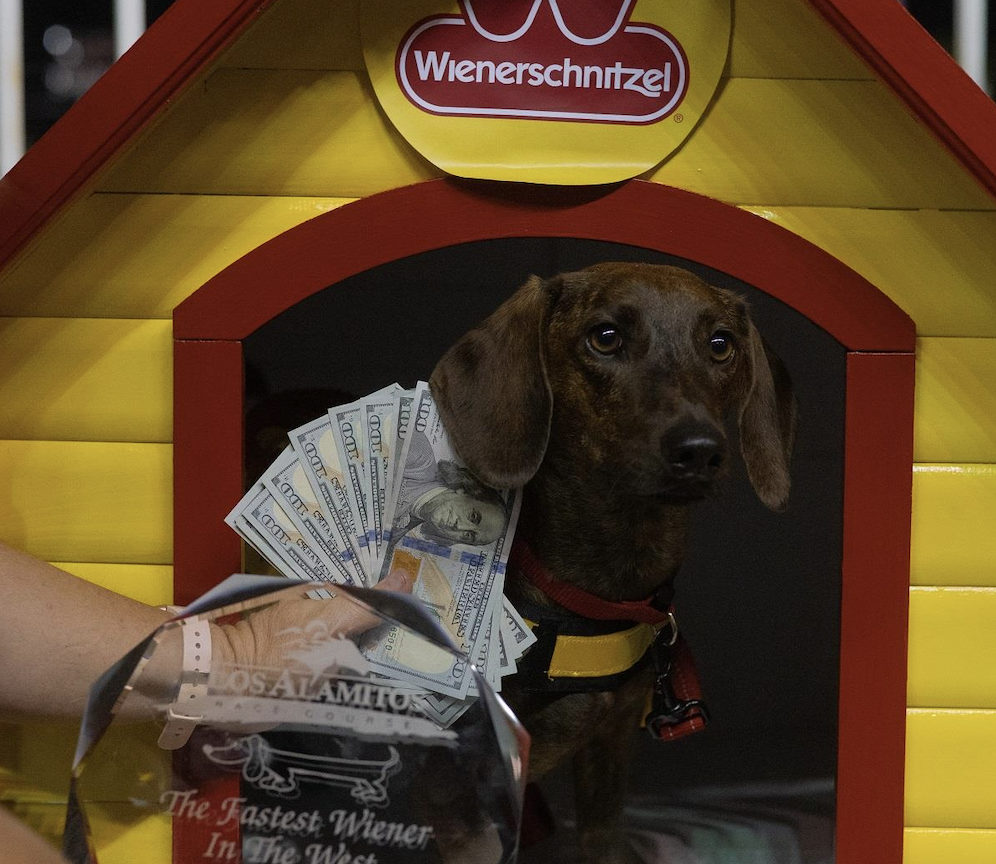 Scratch This: On your mark, get set — we're going to the Wienerschnitzel Wiener Nationals!