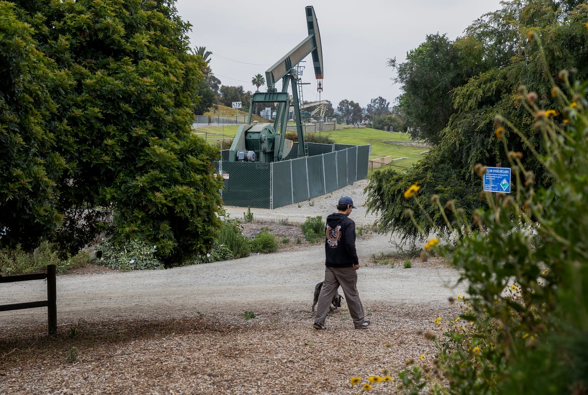 Get to know Long Beach’s Willow Springs Park with free weekend activities