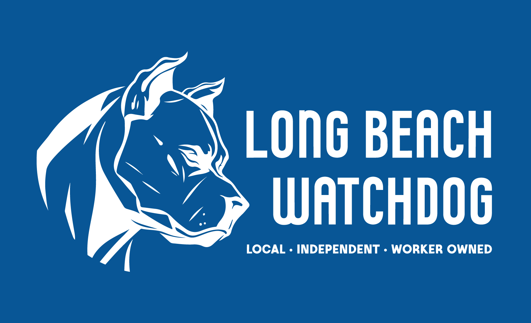 Six months of Watchdog journalism: We need your support to keep going