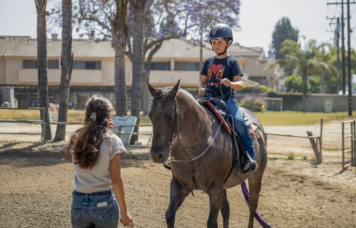 New hope for Lakewood Equestrian Center after initial lease negotiations fall through