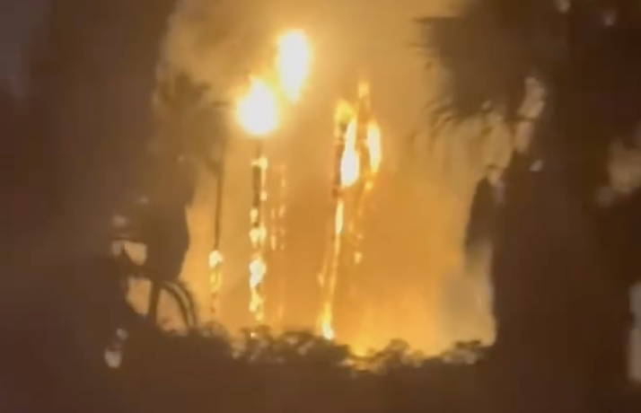 Blaze in East Long Beach ravages through vegetation, destroys palm trees