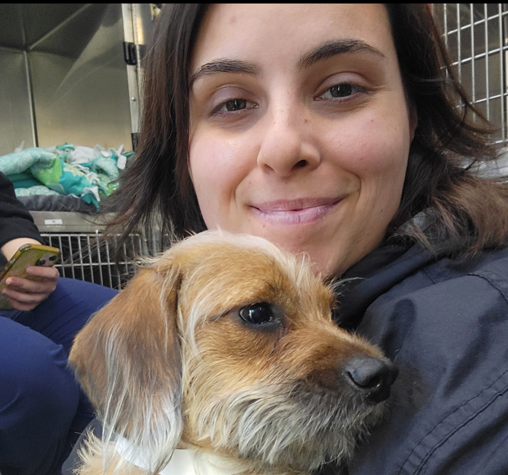 Meet Amanda Barajas, Long Beach Animal Care Services' new face of dog fostering