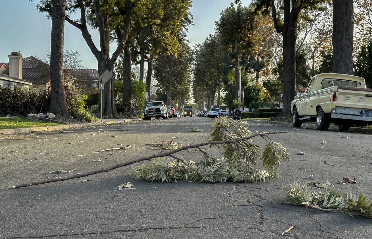 The Santa Ana winds have arrived. Here's what we can expect in Long Beach