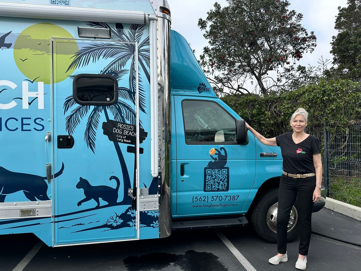 All wrapped and ready to adopt!