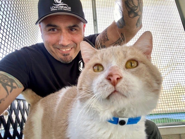 Scratch This: Meet Matt Yniguez, Long Beach Animal Care Services’ volunteer coordinator