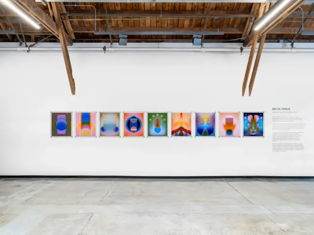 Nine multi-colored pieces of art are aligned next to each other on a white wall with the exhibit name "Delta Venus" to the