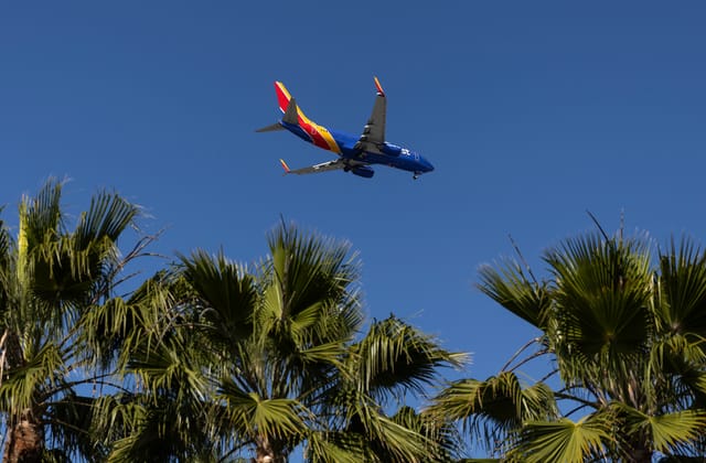Blue airliner flying in a blue sky above green palm trees.