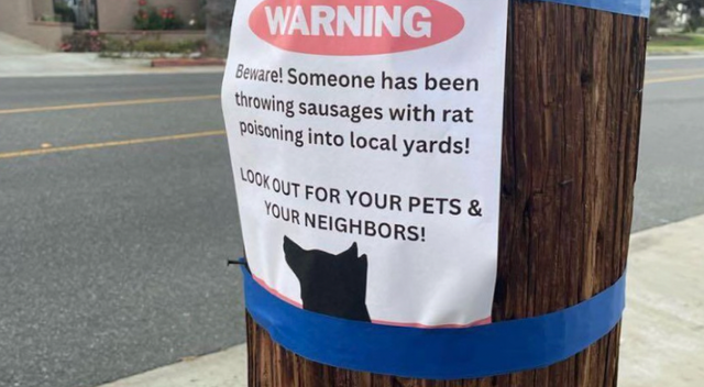 Possibly poisoned sausages found in Belmont Heights yard