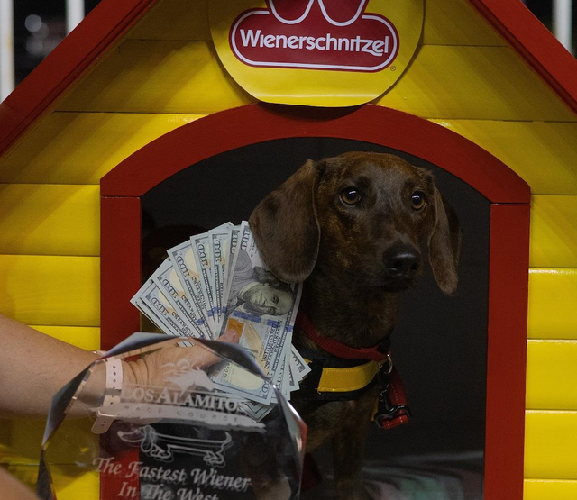 Scratch This: On your mark, get set — we're going to the Wienerschnitzel Wiener Nationals!