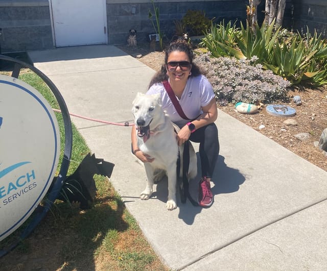 A woman kneels on the sidewalk with a large white dog in front of a building.