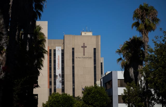 Rows of palm trees lead to a building with the words "St. Mary Medical Center."