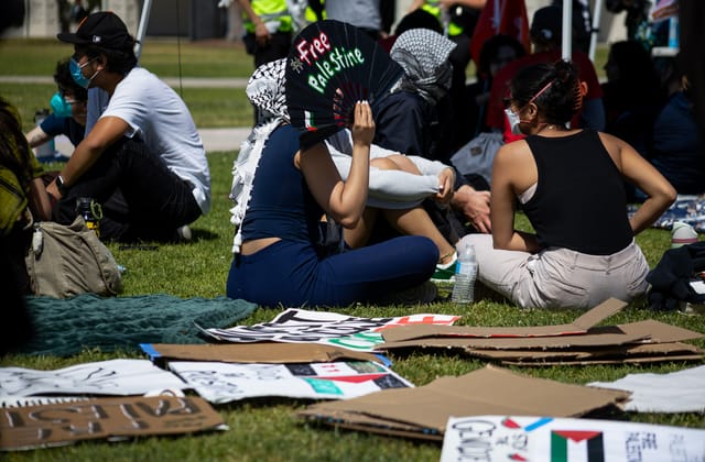 People sit on the grass next to a few cardboard signs.