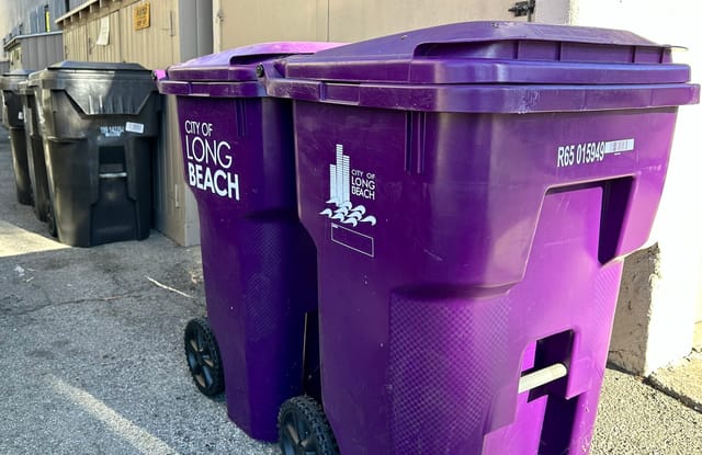 Two purple waste bins labeled City of Long Beach sit in an alleyway. 