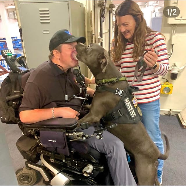 A dog wearing a service dog vest licks the face of a man sitting in a wheelchair.