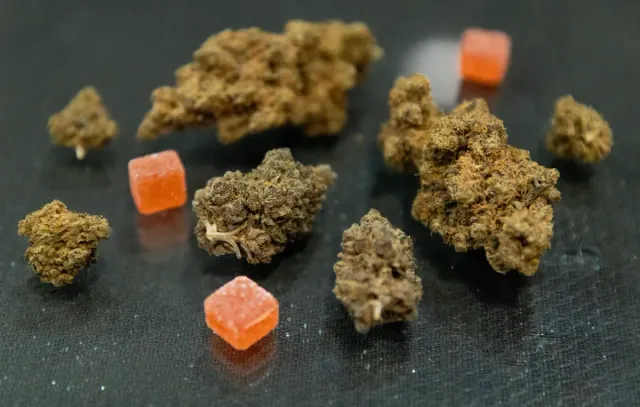 Cannabis flower and edible gummies on a table.