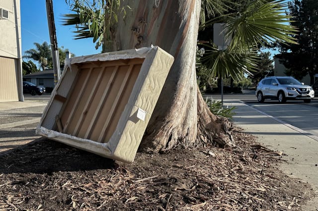 An old, faded boxspring leans up against a tree.