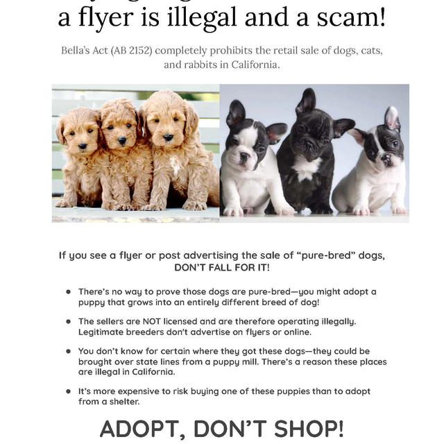 A flyer with pictures of cute puppies and the words "Adopt, Don't Shop!"