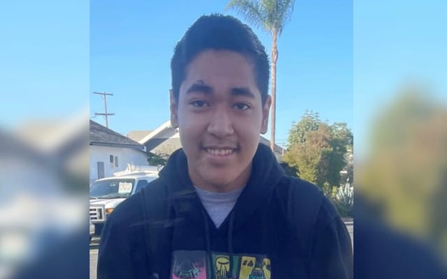 A teen boy, smiling outside.