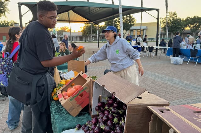 People stand near cardboard boxes filled with eggplant, tomatoes and other produce.