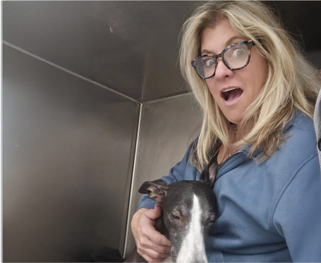 A woman with a surprised facial expression pets a black and white dog.