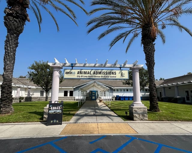 Stone columns hold up a sign saying "spcaLA ANIMAL ADMISSIONS."