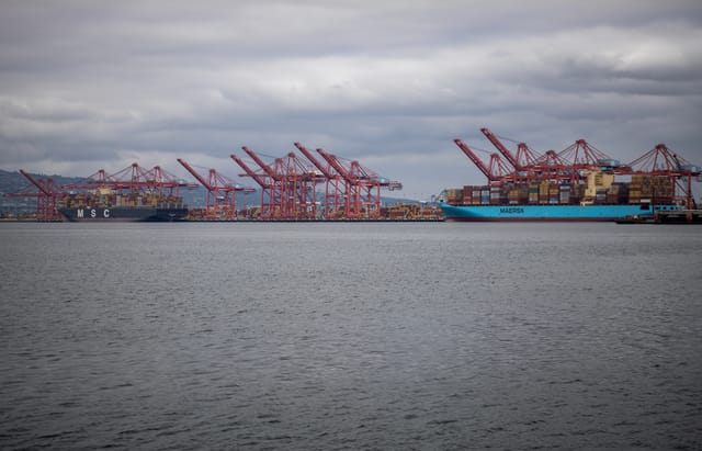 Blue container ships sit at a dock near many large red crane