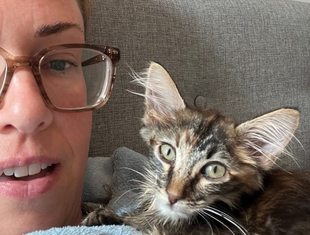 A woman holds a cute cat up close to her face.