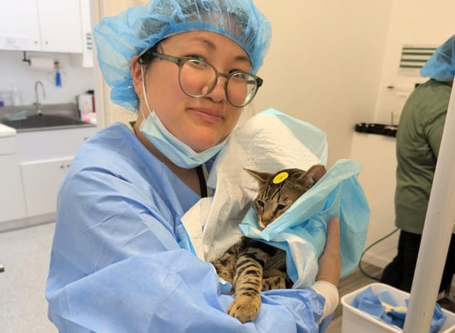 A woman in medical scrubs cradles a cat that has a yellow sticker on its head.