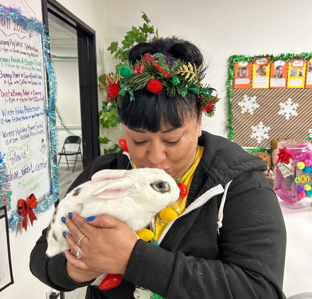 A woman with Christmas holly tied around her hair cradles a soft white bunny rabbit.