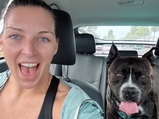A woman and a dog ride in a car together.