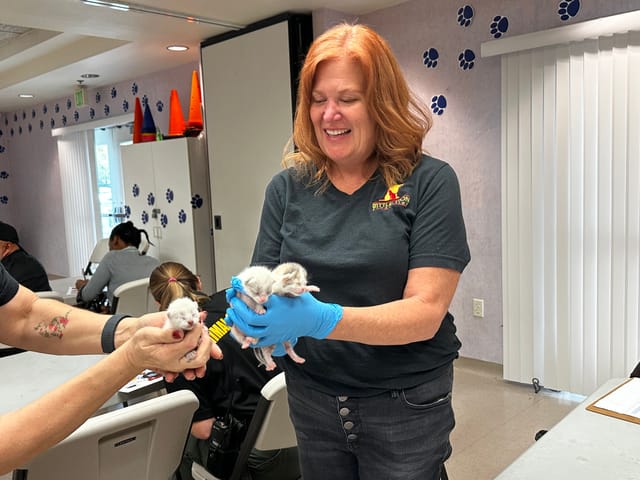 A smiling woman holds two tiny kittens while someone else nearby holds another tiny kitten.