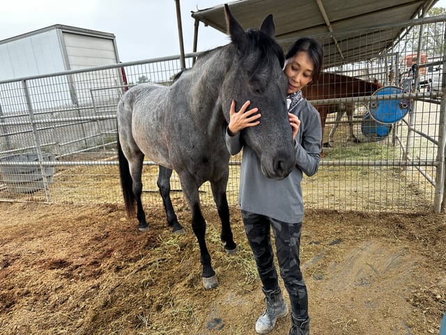 A woman pets cradles a gray horse by the head in a stable.