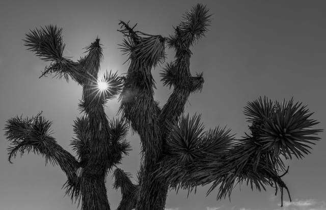 Clocked Out: 24 hours in Pioneertown